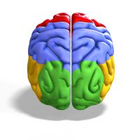 Coloured Brain.jpg